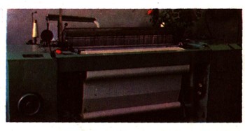 0110-27.jpg