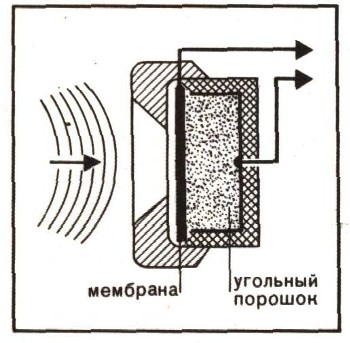 0240-1.jpg