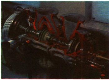 0350-3.jpg