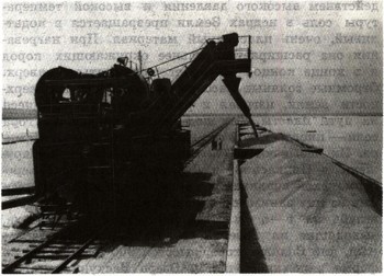 0520-3.jpg
