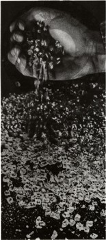 0540-1.jpg