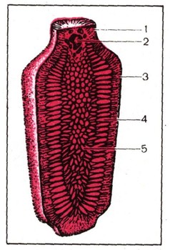 0550-12.jpg