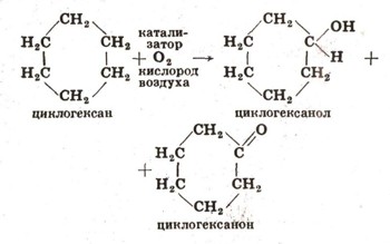 0650-2.jpg