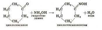 0650-5.jpg