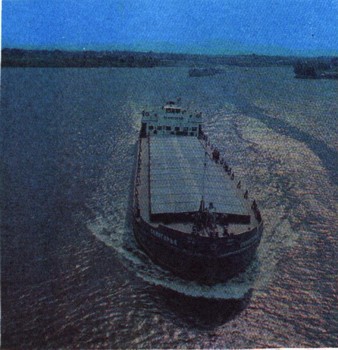 0850-11.jpg