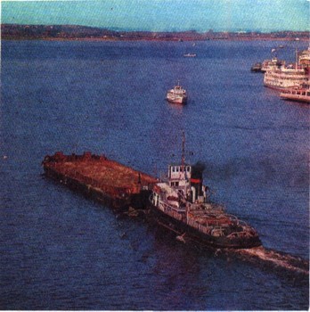 0850-13.jpg