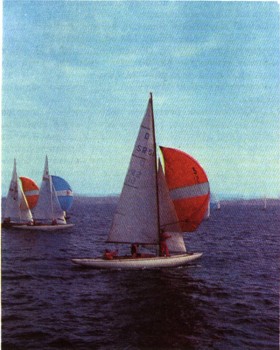 0850-16.jpg