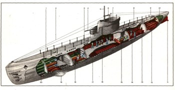 0850-20.jpg