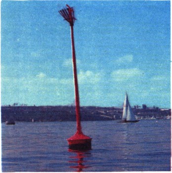 0850-30.jpg