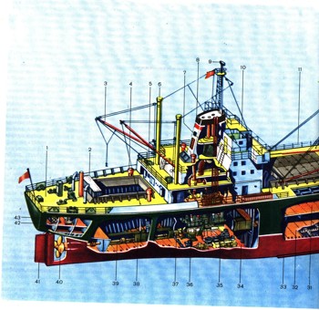 0850-7.jpg