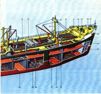 0850-8.jpg