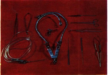 0880-2.jpg