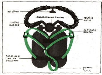 0890-1.jpg