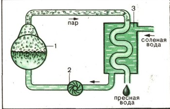 0940-4.jpg