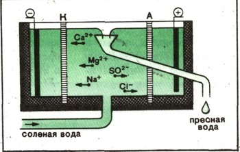 0940-5.jpg