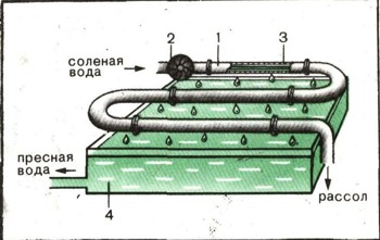 0940-7.jpg