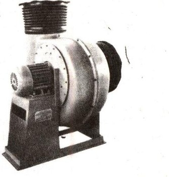 0950-3.jpg