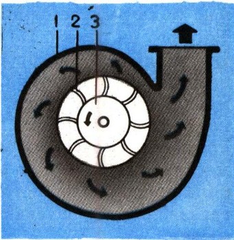 0950-4.jpg