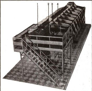 0960-4.jpg